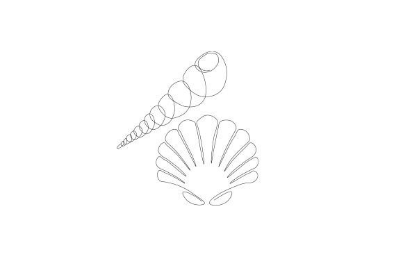 Download Sea Shell Line Art - Shell Collection