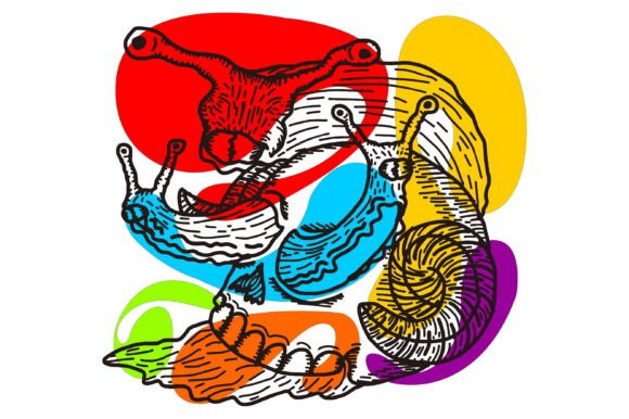 Download 3 Head Snail with Skull Shell Line Art - Shell Collection