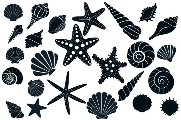 Download Sea Shell Starfish Beach SVG Silhouette - Shell Collection