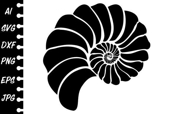 Download Stencil Shell Spiral - Shell Collection