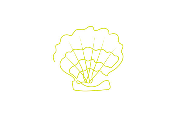 Download Sea Shell Line Art - Shell Collection