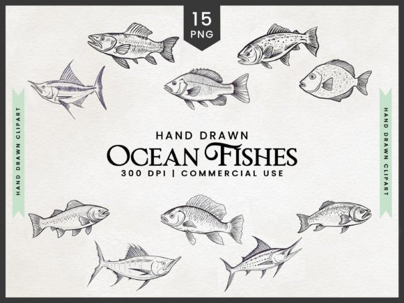 Download Hand Drawn Ocean Fishes Clipart Bundle - Drawn Collection