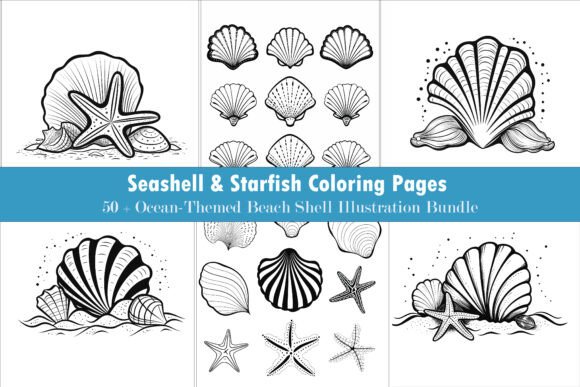 Download 50+ Beach Seashell Illustration Pack - Shell Collection