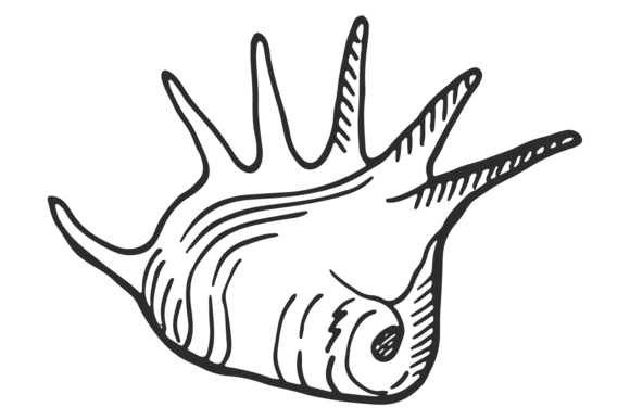 Download Seashell Icon. Hand Drawn Mollusk Shell - Shell Collection