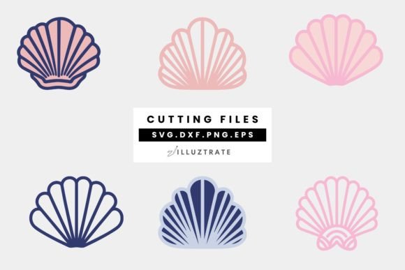 Download SeaShell SVG Cut File | Shell Cutting Fi - Shell Collection